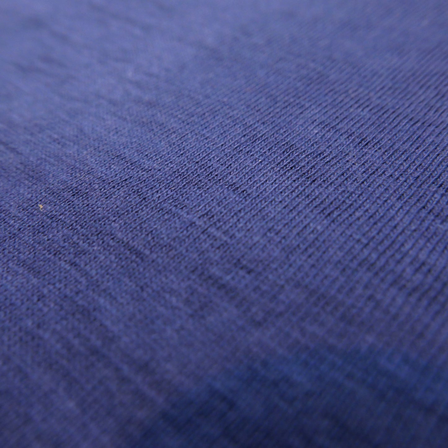 Warehouse & Co. Lot.4059 Ringer T恤(兩色入)
