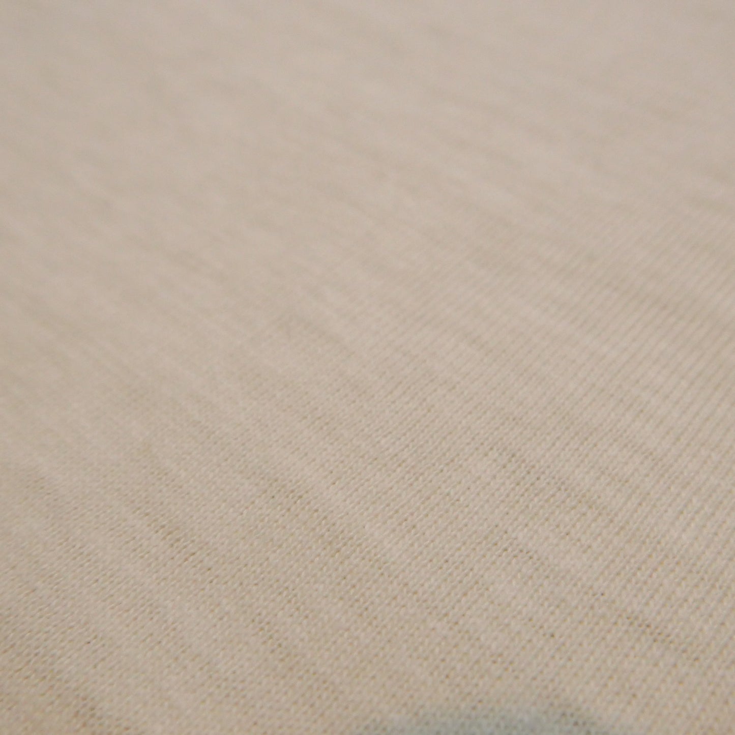 Warehouse & Co. Lot.4059 Ringer T恤(兩色入)
